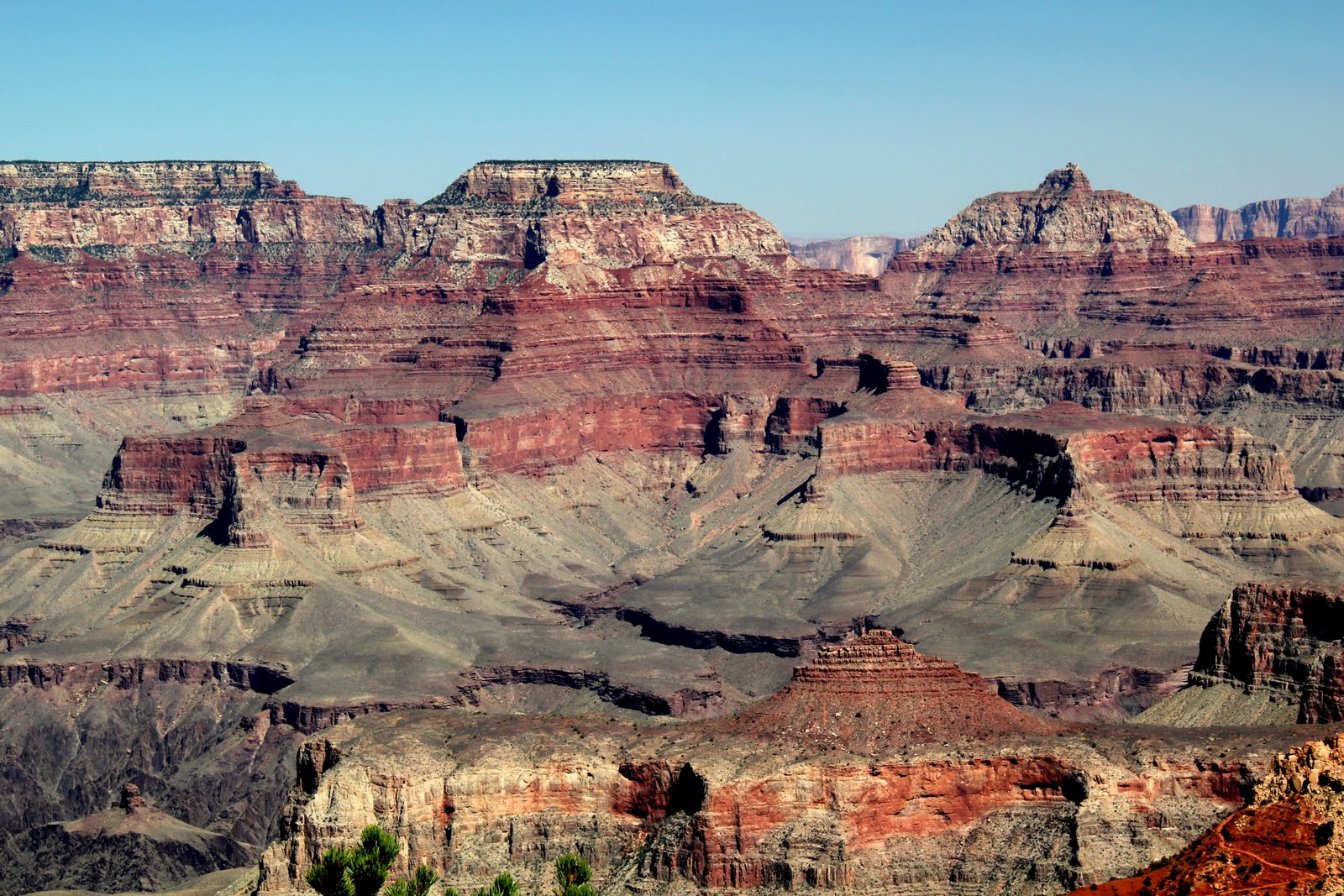 The Inexperienced Hiker's Guide to the Grand Canyon - Distracted Birder